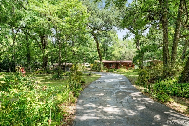 485 N Robin Hood Rd, Inverness, FL 34450 - photo 5