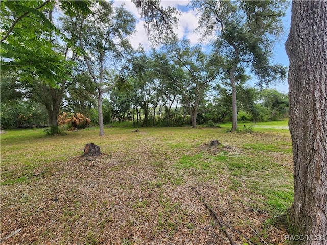 4635 S Worldwide Dr, Inverness, FL 34452 - photo 4