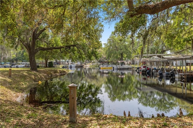 property view of water featuring a boat dock
