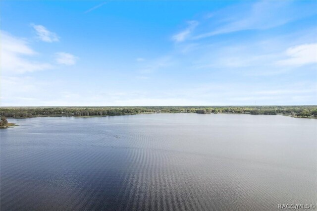 908 Pritchard Island Rd, Inverness, FL 34450 - photo 29