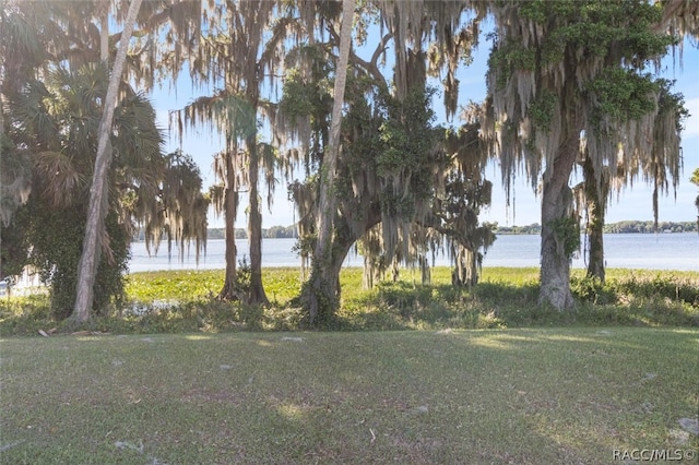 view of yard with a water view