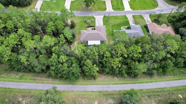 9849 N Sandree Dr, Citrus Springs, FL 34434 - photo 44