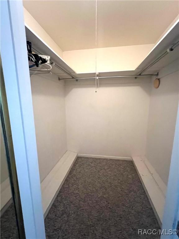 spacious closet featuring dark colored carpet