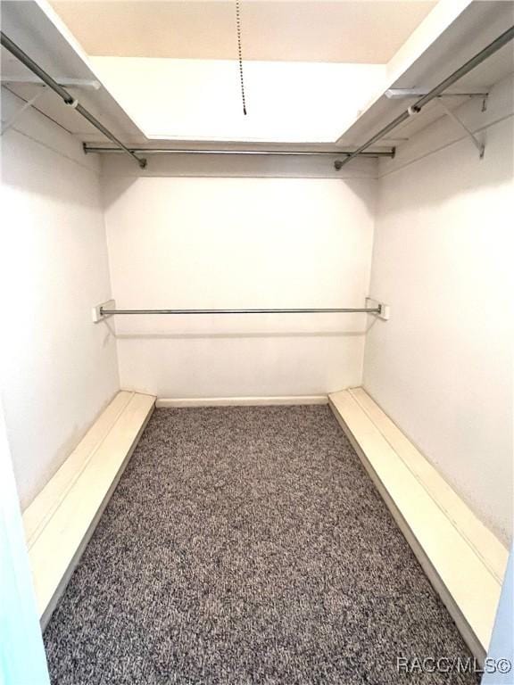 walk in closet featuring carpet