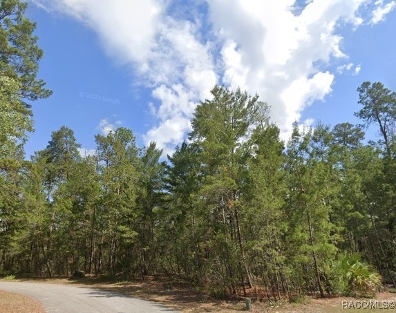 24 Browallia Ct, Homosassa FL, 34446 land for sale