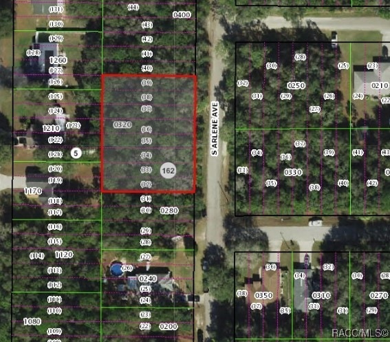 152 S Arlene Ave, Inverness FL, 34453 land for sale