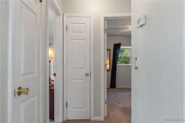 833 Maple Ave, Inverness, FL 34452 - hallway with carpet and baseboards