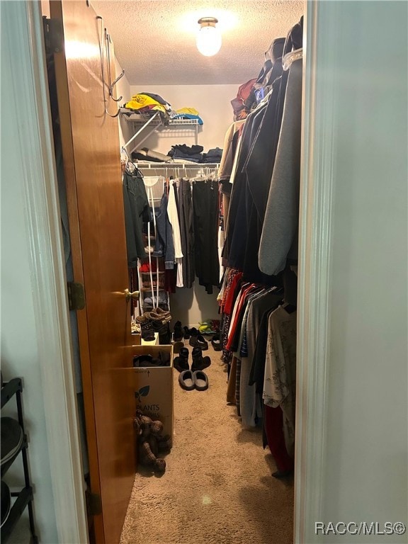 spacious closet featuring carpet