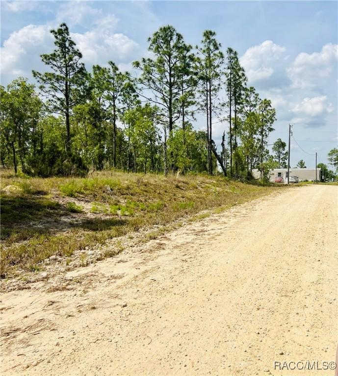 0000 NE 132nd Ter, Williston, FL 32696