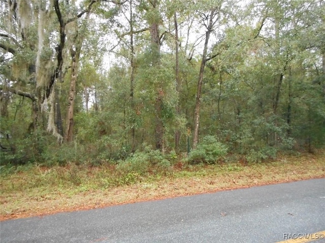 Listing photo 2 for L6 SW 97th Pl, Dunnellon FL 34431