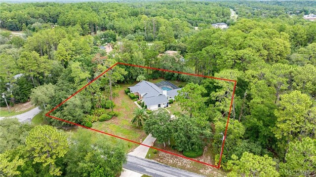 5209 N Red Ribbon Pt, Beverly Hills, FL 34465 - photo 36