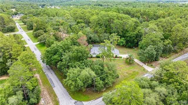 5209 N Red Ribbon Pt, Beverly Hills, FL 34465 - photo 44