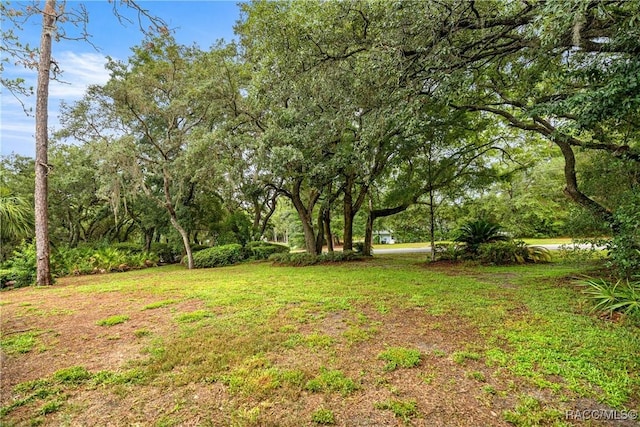 5209 N Red Ribbon Pt, Beverly Hills, FL 34465 - photo 50