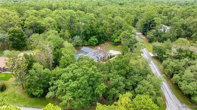 5209 N Red Ribbon Pt, Beverly Hills, FL 34465 - photo 45