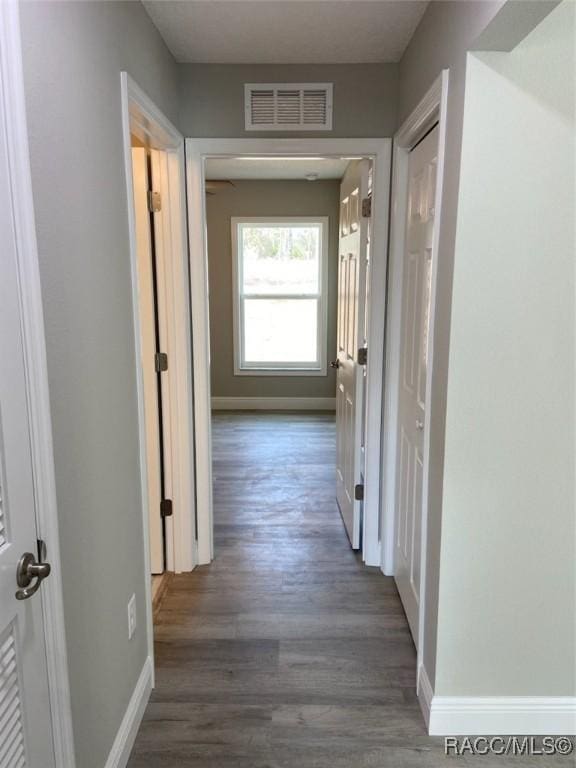 corridor featuring dark wood-type flooring