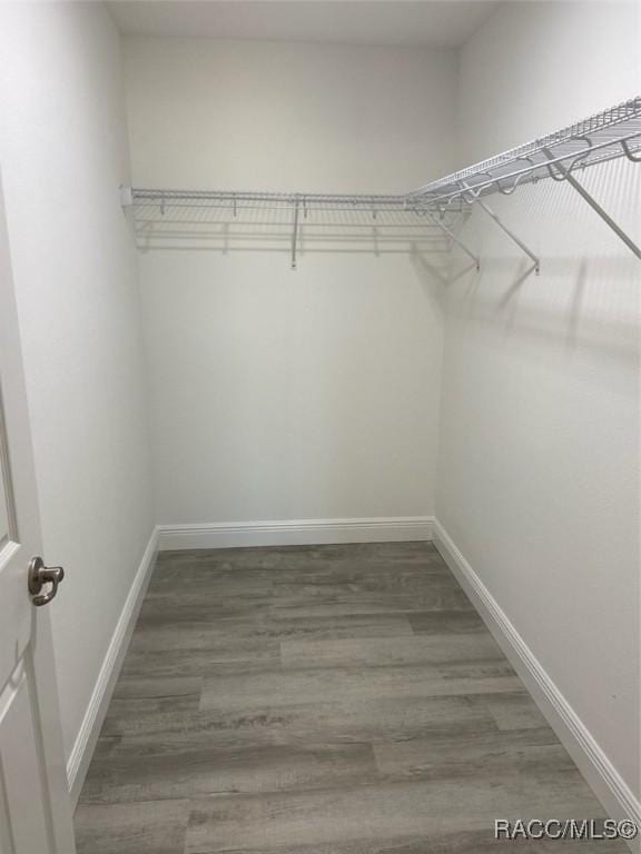 spacious closet featuring dark hardwood / wood-style flooring