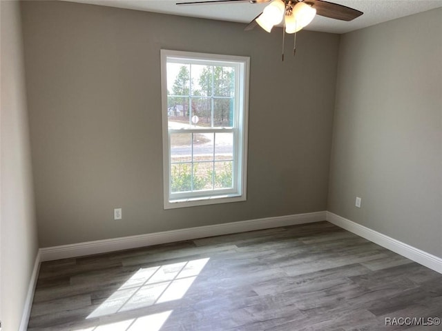 empty room with ceiling fan, plenty of natural light, and light hardwood / wood-style floors