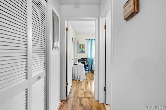 hallway featuring light hardwood / wood-style floors