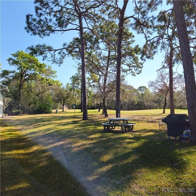 view of property's community featuring a yard