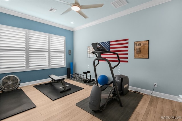 workout area featuring hardwood / wood-style flooring, ceiling fan, and ornamental molding