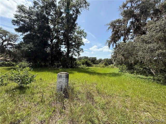 7825 E Stage Coach Trl, Floral City, FL 34436 - photo 5