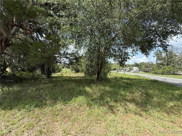 7825 E Stage Coach Trl, Floral City, FL 34436 - photo 10