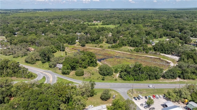7825 E Stage Coach Trl, Floral City, FL 34436 - photo 4