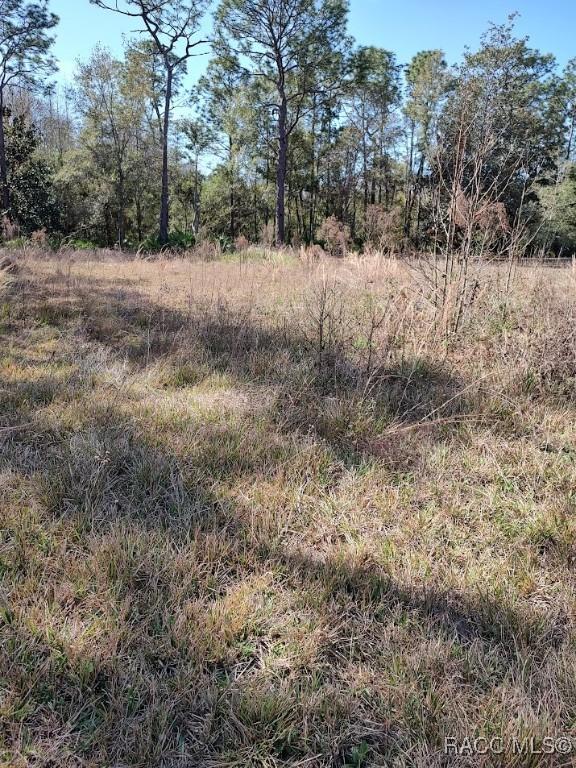 7636 Narcissus Ln, Homosassa FL, 34448 land for sale