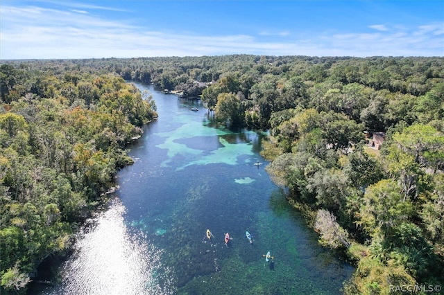 birds eye view of property with a water view and a wooded view