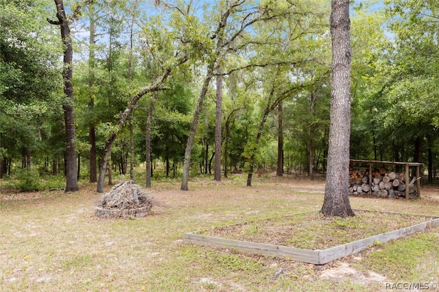 view of yard with a fire pit