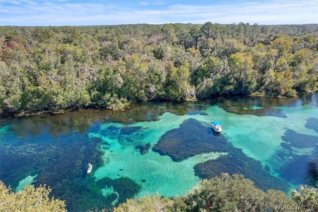 bird's eye view featuring a water view and a wooded view