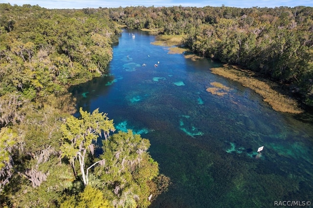 drone / aerial view featuring a water view and a view of trees