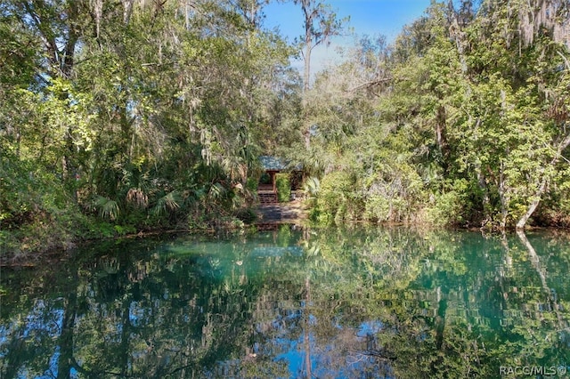 property view of water featuring a forest view