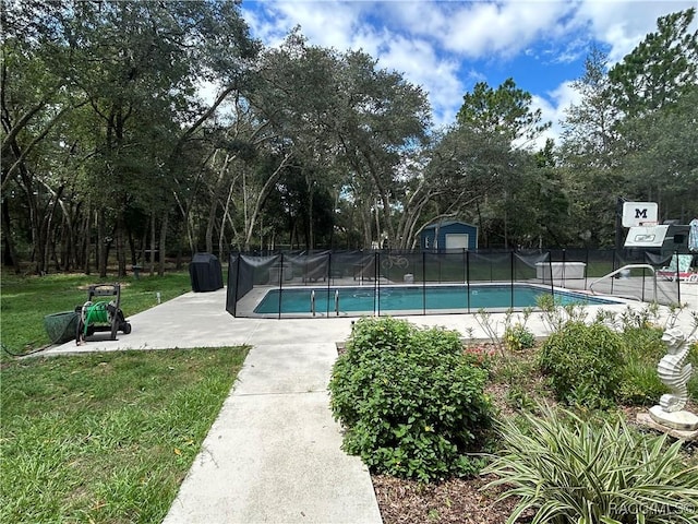 5774 N Lamp Post Dr, Beverly Hills, FL 34465 - view of swimming pool featuring a patio, a storage shed, and view of scattered trees