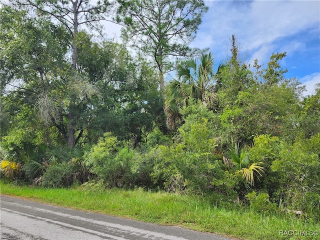 9614 N Dawnflower Ave, Crystal River FL, 34428 land for sale