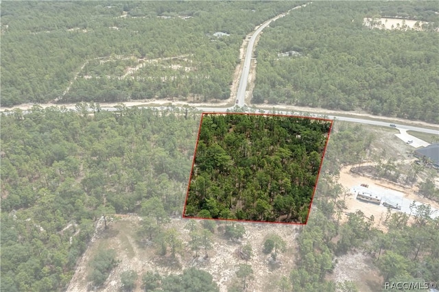 6349 W Pine Ridge Blvd, Beverly Hills, FL 34465 - photo 12