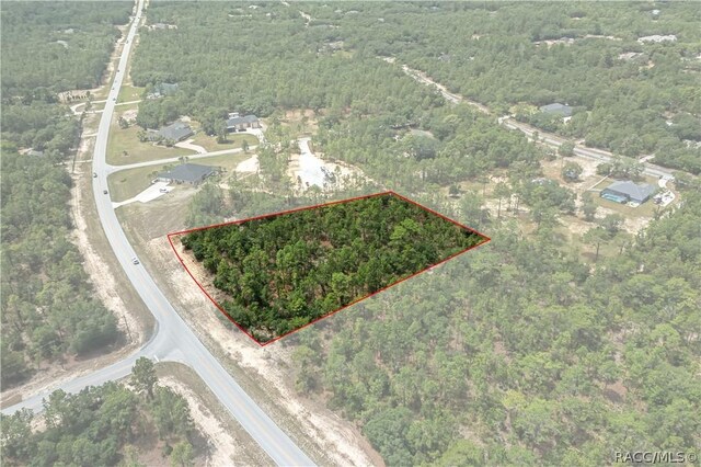 6349 W Pine Ridge Blvd, Beverly Hills, FL 34465 - photo 20