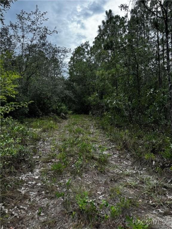 6338 W Tirana Ln, Dunnellon, FL 34433 - photo 22