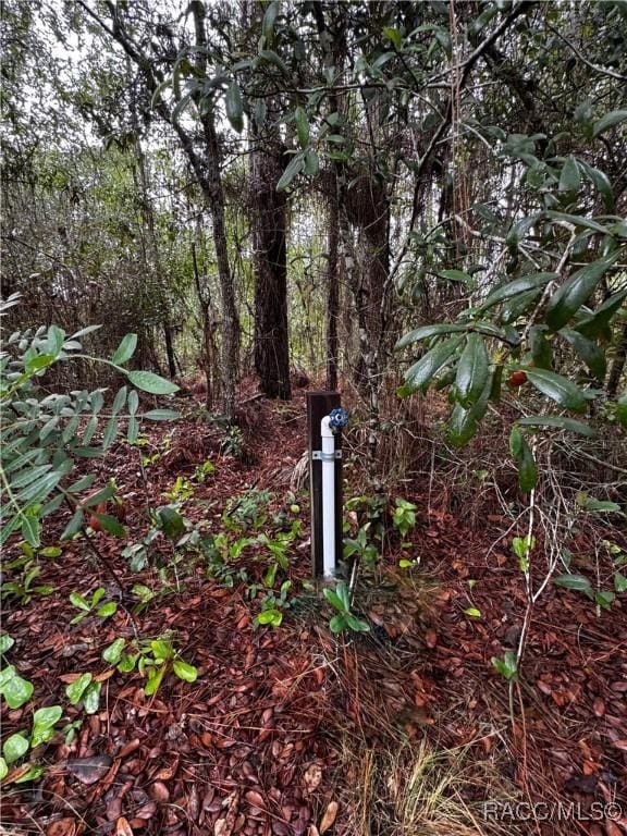 6338 W Tirana Ln, Dunnellon, FL 34433 - photo 6