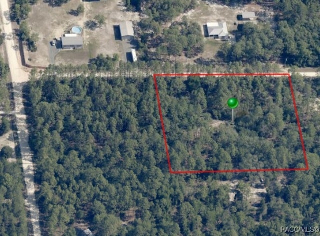 6338 W Tirana Ln, Dunnellon, FL 34433 - photo 32