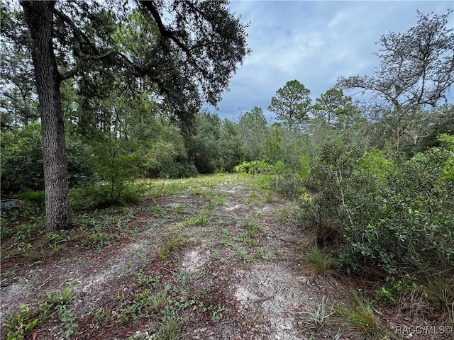 6338 W Tirana Ln, Dunnellon, FL 34433 - photo 27