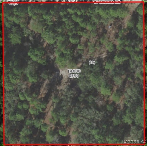 6338 W Tirana Ln, Dunnellon, FL 34433 - photo 35