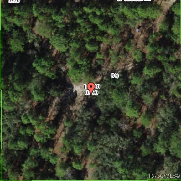 6338 W Tirana Ln, Dunnellon, FL 34433 - photo 34