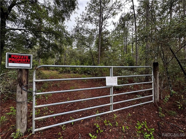 6338 W Tirana Ln, Dunnellon, FL 34433 - photo 1