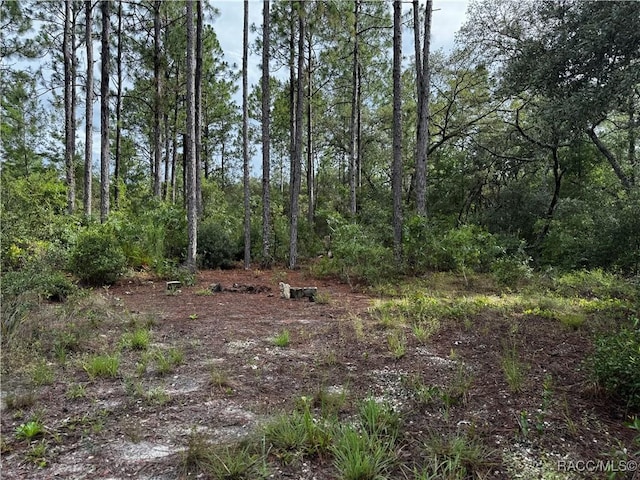 6338 W Tirana Ln, Dunnellon, FL 34433 - photo 19