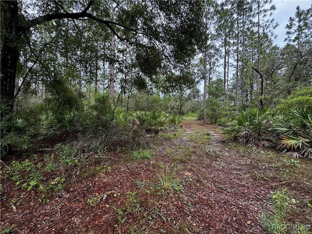 6338 W Tirana Ln, Dunnellon, FL 34433 - photo 9