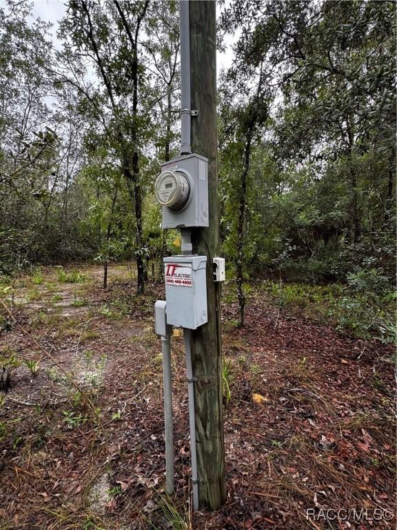 6338 W Tirana Ln, Dunnellon, FL 34433 - photo 2