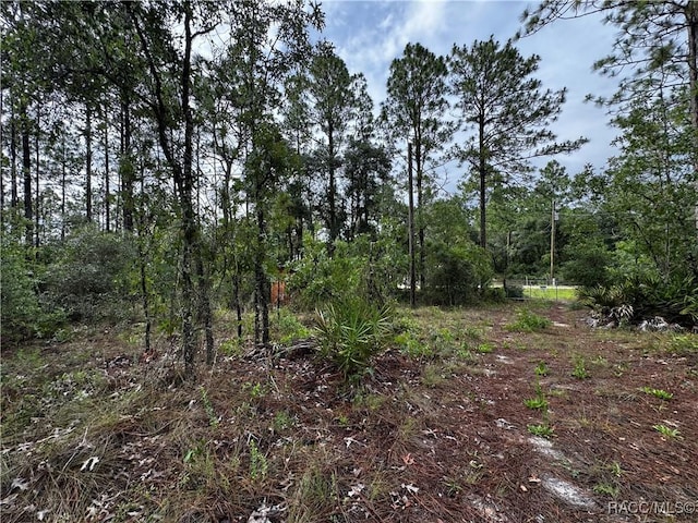 6338 W Tirana Ln, Dunnellon, FL 34433 - photo 14