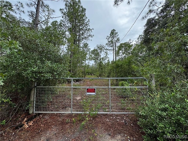 6338 W Tirana Ln, Dunnellon, FL 34433 - photo 20