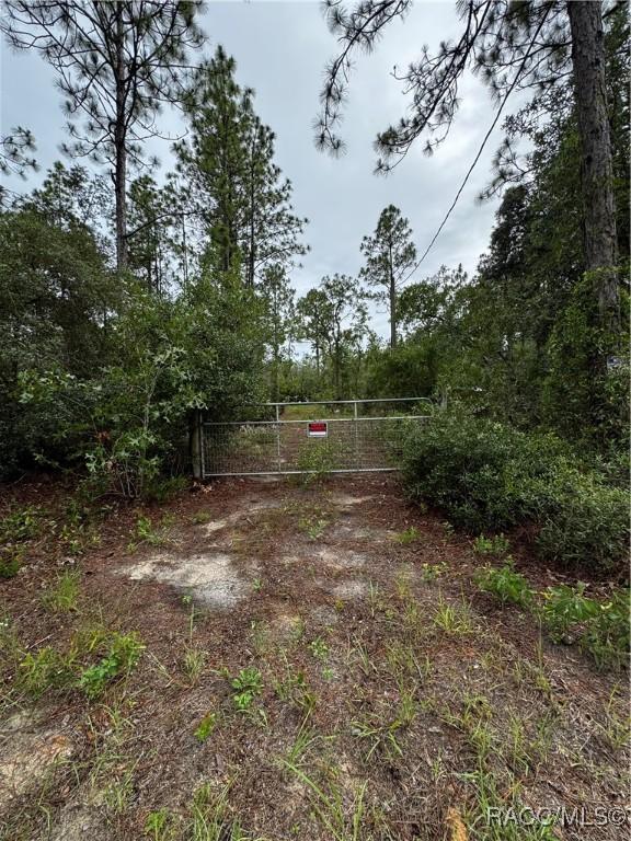 6338 W Tirana Ln, Dunnellon, FL 34433 - photo 31